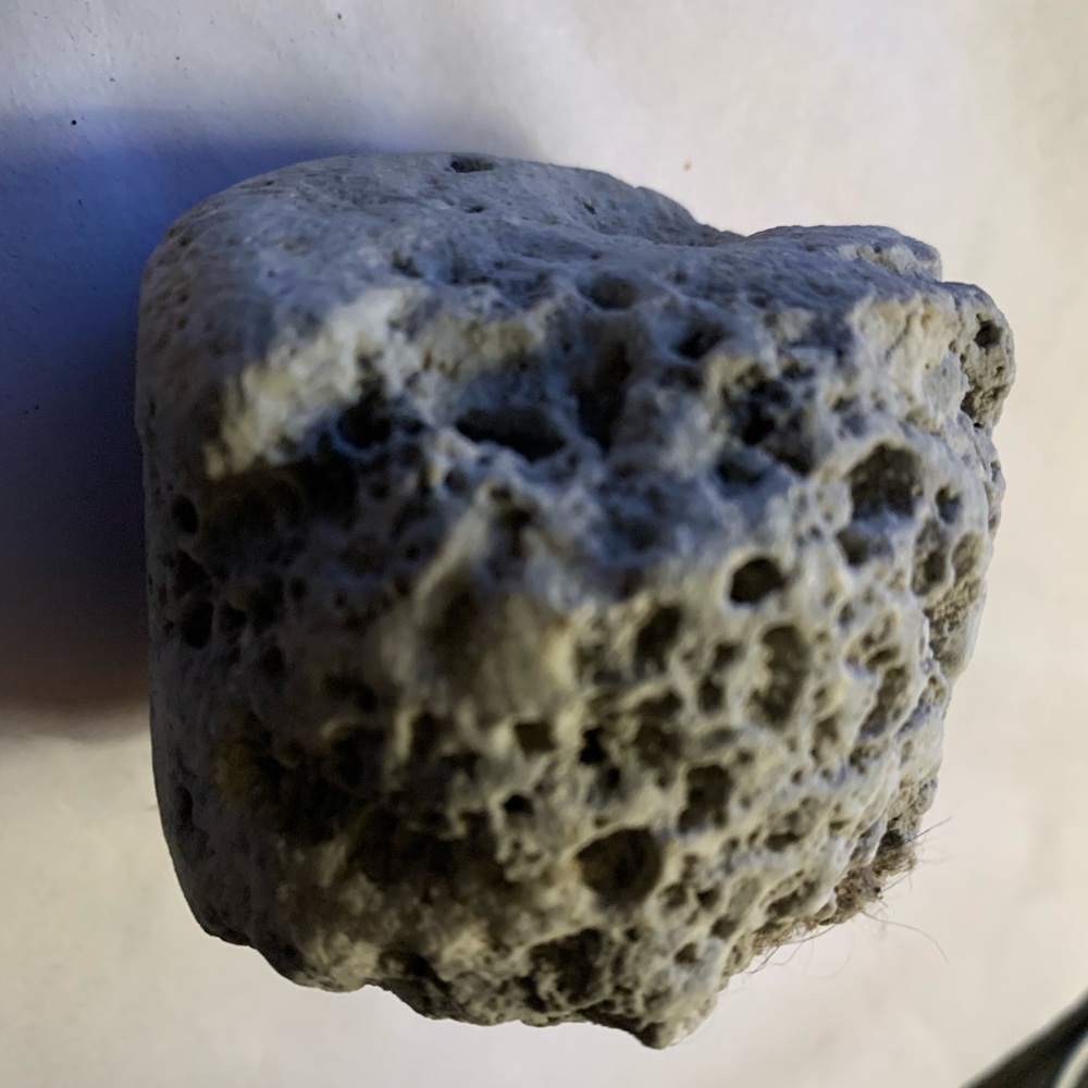 a piece of pumice, a volcanic rock formed from frothy lava
